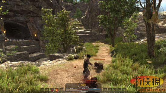 哥特王朝4：阿卡尼亞